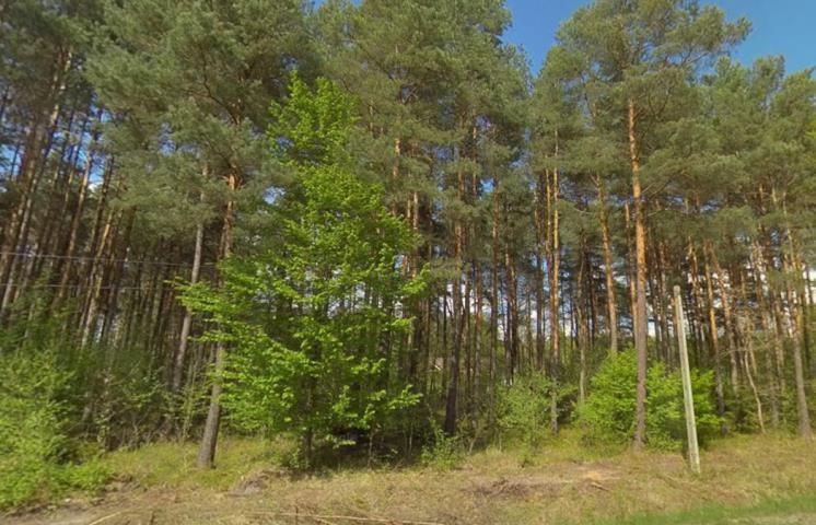 Działka rekreacyjna Brzozowa. Zdjęcie 2