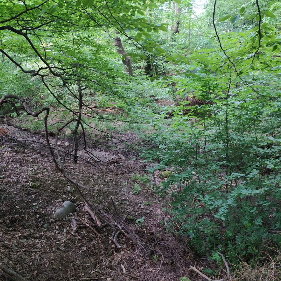 Działka leśna Bielsko-Biała Mikuszowice Krakowskie, ul. Krowoderska