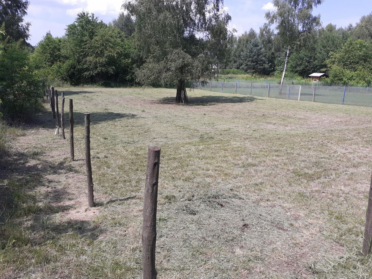 Działka budowlana Częstochowa Kiedrzyn, ul. Tadeusza Mazowieckiego. Zdjęcie 3