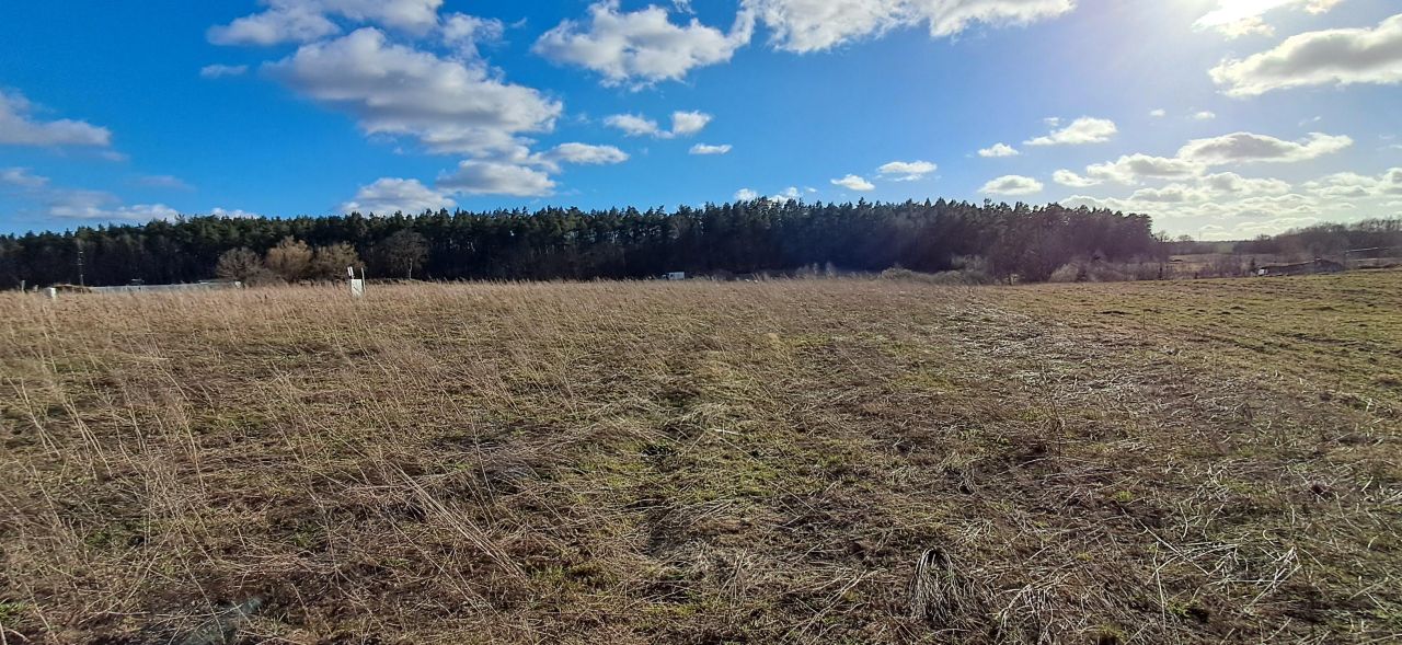 Działka budowlana Kleszczewo, ul. Spacerowa. Zdjęcie 5