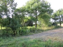 Działka siedliskowa Stawki. Zdjęcie 4