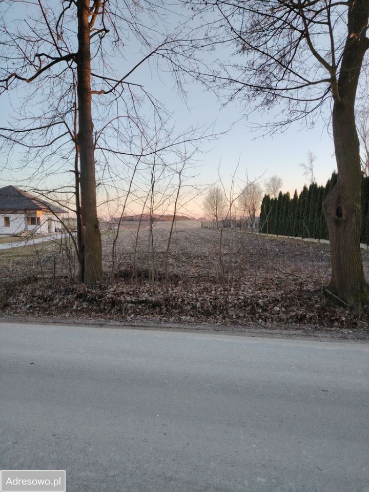 Działka rolno-budowlana Wola Niechcicka Stara. Zdjęcie 7
