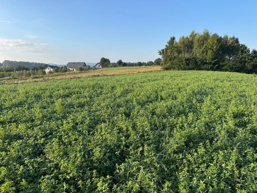 Działka budowlana Ramleje. Zdjęcie 8