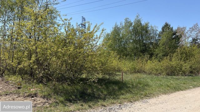 Działka budowlana Czapury, ul. Rydzowa. Zdjęcie 9