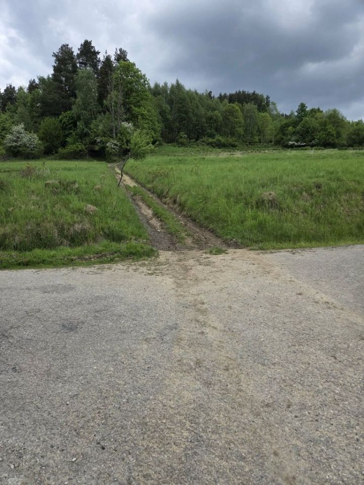 Działka rolna Kurów. Zdjęcie 3