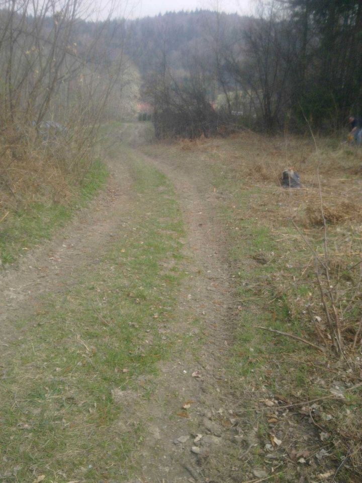 Działka leśna Świnna Komarnik, ul. Komarnik. Zdjęcie 3