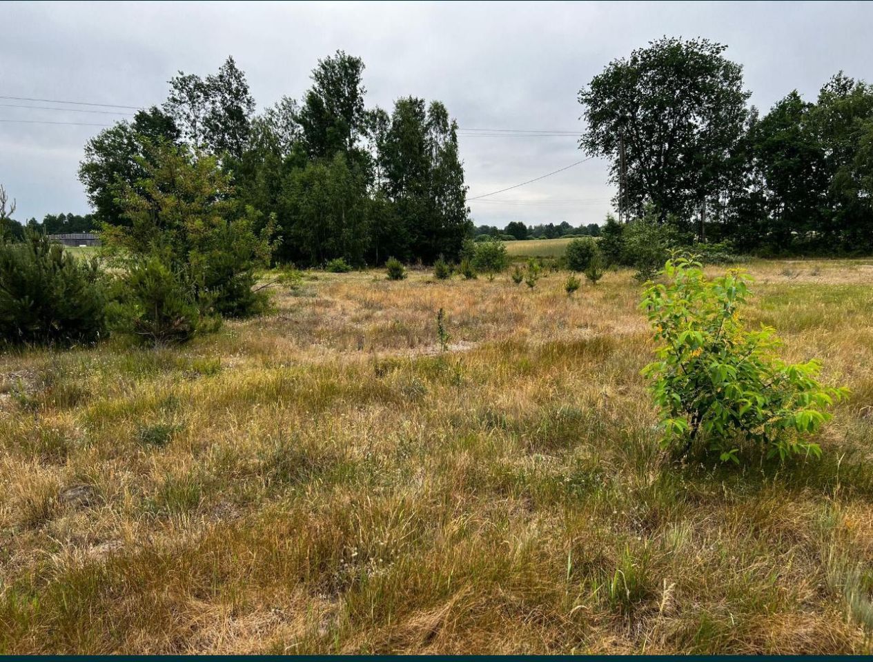 Działka rolna Łąkie, ul. Podstawowa. Zdjęcie 5