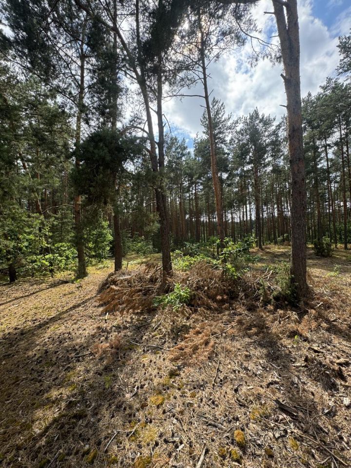 Działka rekreacyjna Przeradowo. Zdjęcie 12