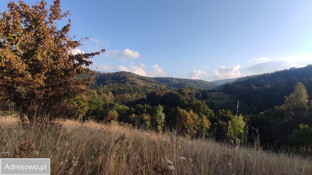 Działka inwestycyjna Rościszów, ul. Sowiogórska. Zdjęcie 3