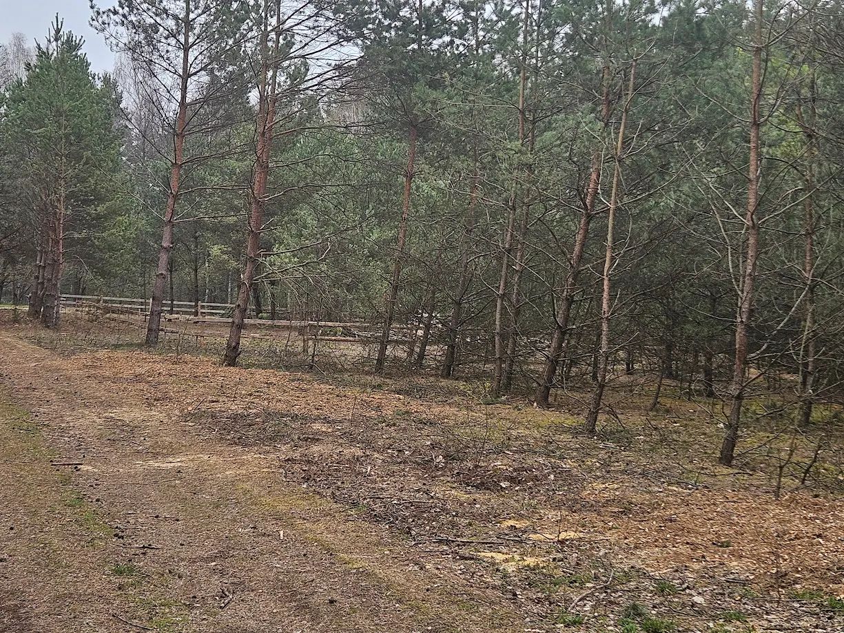 Działka budowlana Ważne Młyny, ul. Płaczkowska. Zdjęcie 3
