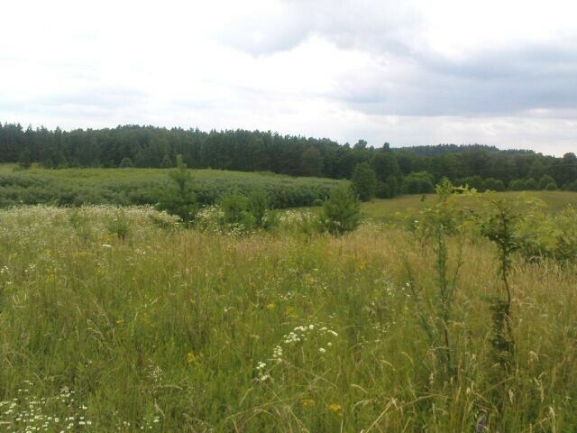 Działka rolno-budowlana Florczaki