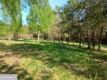 Działka budowlana Kępiaste. Zdjęcie 4