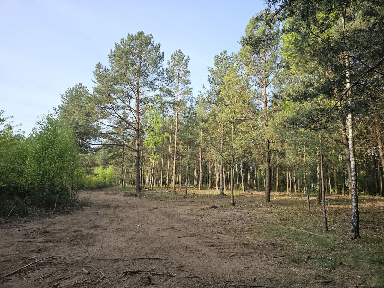 Działka rolno-budowlana Huta. Zdjęcie 5