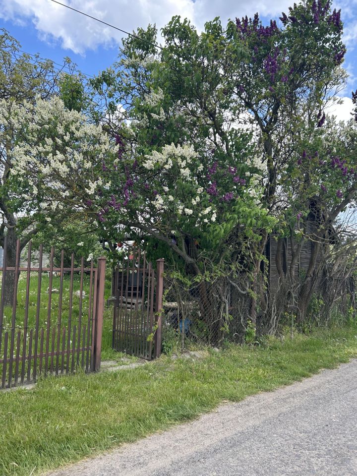 Działka budowlana Wólka Smoszewska. Zdjęcie 2