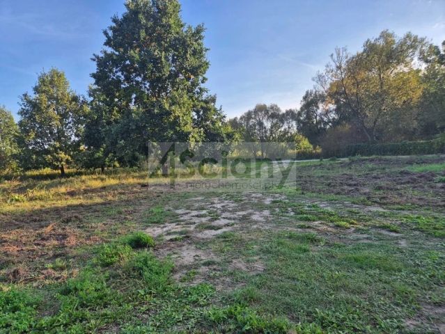 Działka budowlana Okuniew. Zdjęcie 1