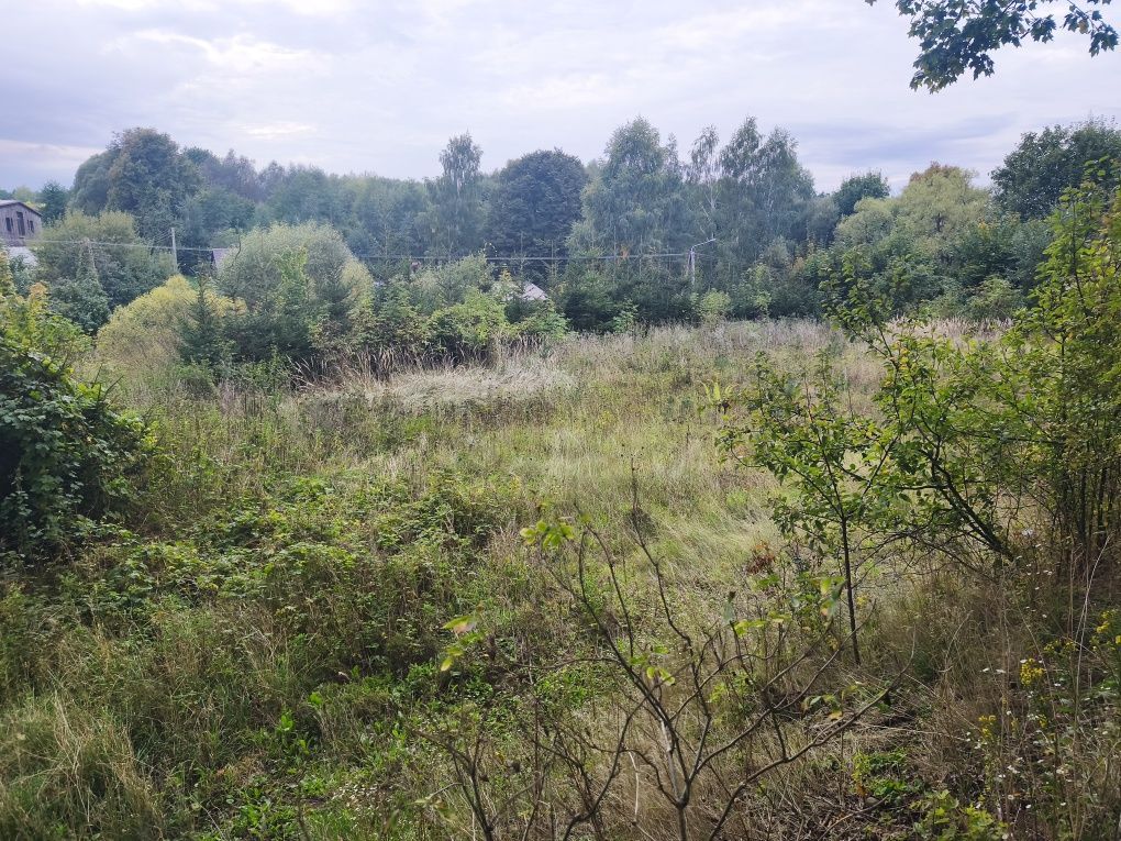 Działka budowlana Krzywa Wieś. Zdjęcie 2