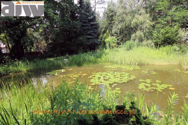 dom wolnostojący, 6 pokoi Hornówek. Zdjęcie 15