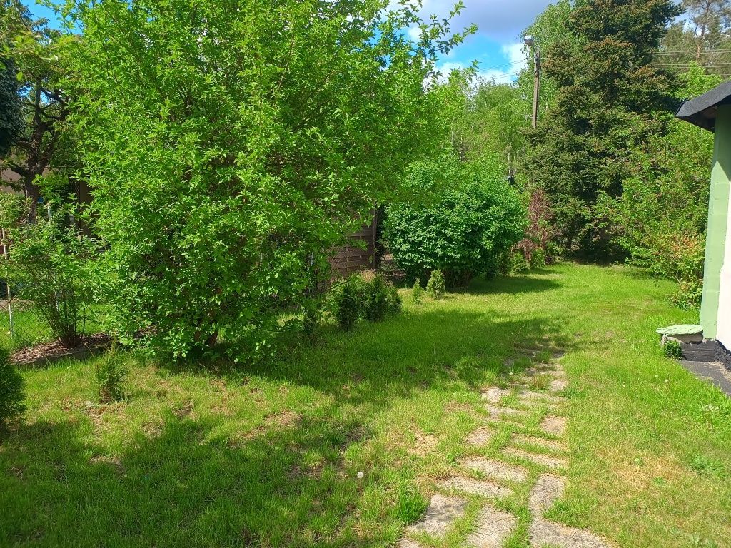 Działka rod Nowe Dąbie. Zdjęcie 7