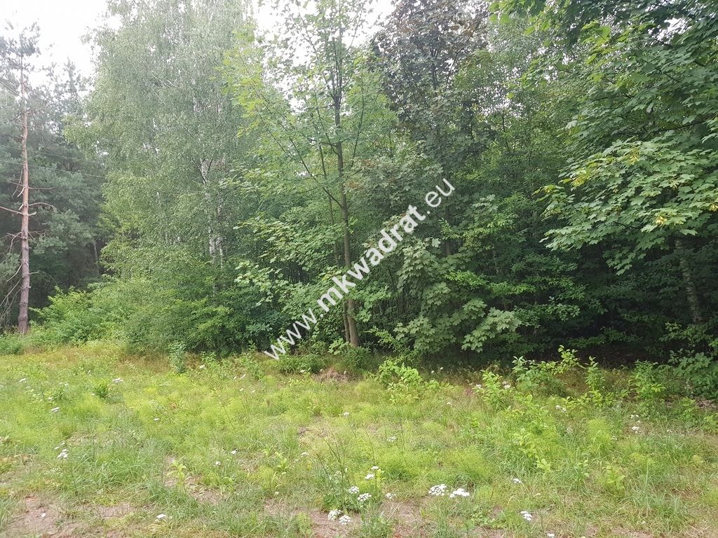 Działka rolna Grzegorzewice. Zdjęcie 2