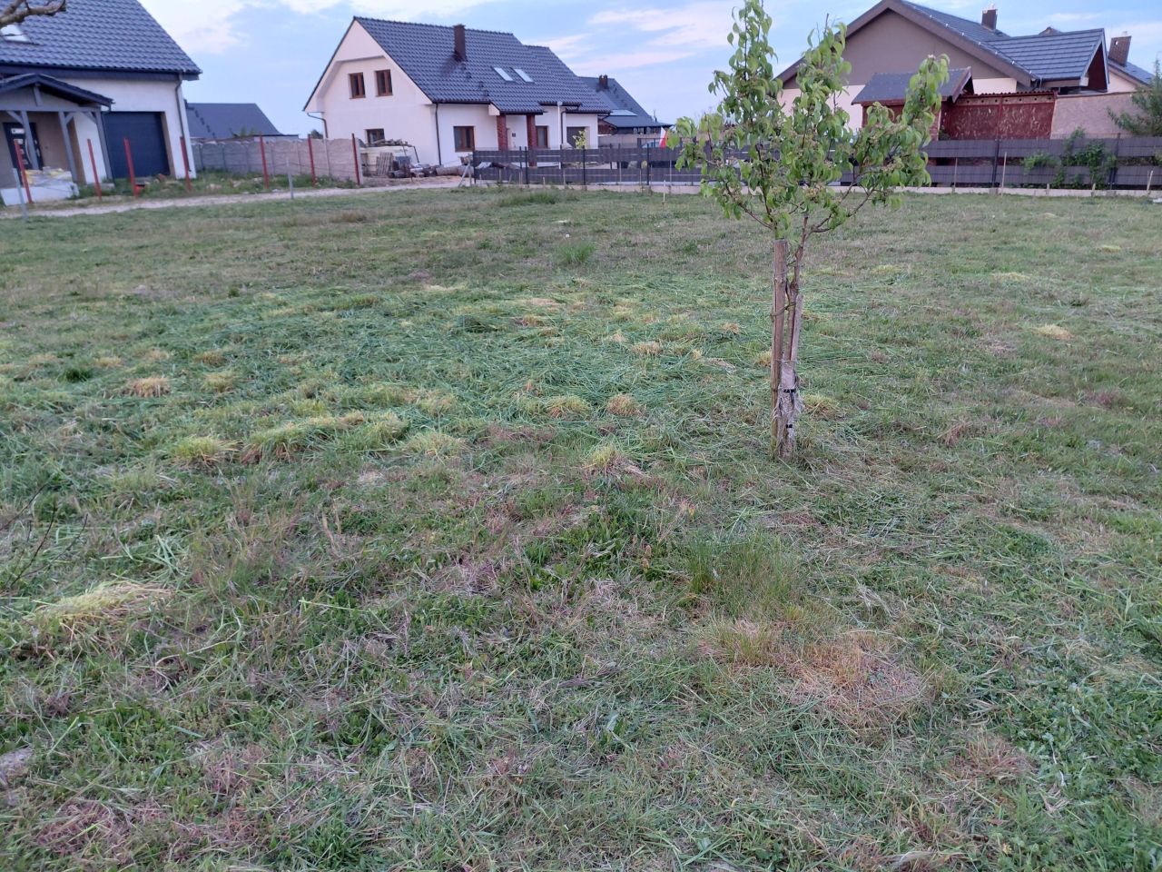 Działka budowlana Bojanowo Osada Trzecia, ul. Wiśniowa. Zdjęcie 7