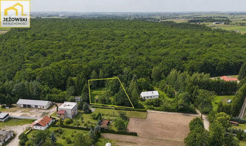 Działka siedliskowa Krężnica Jara. Zdjęcie 5