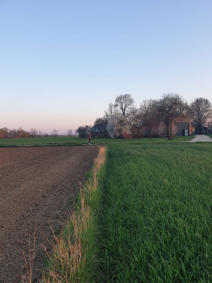 Działka budowlana Górki. Zdjęcie 6