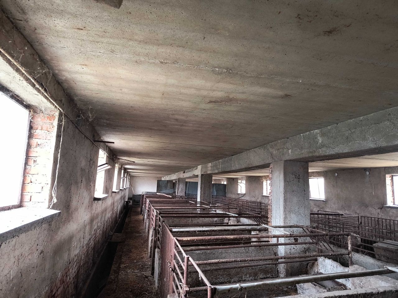 Hala/magazyn Gierałcice. Zdjęcie 8