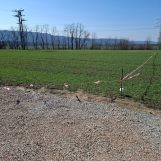 Działka budowlana Więckowice Rzeki, ul. Modrzewiowa. Zdjęcie 2