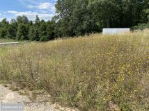 Działka rekreacyjna Izbica Kujawska. Zdjęcie 3