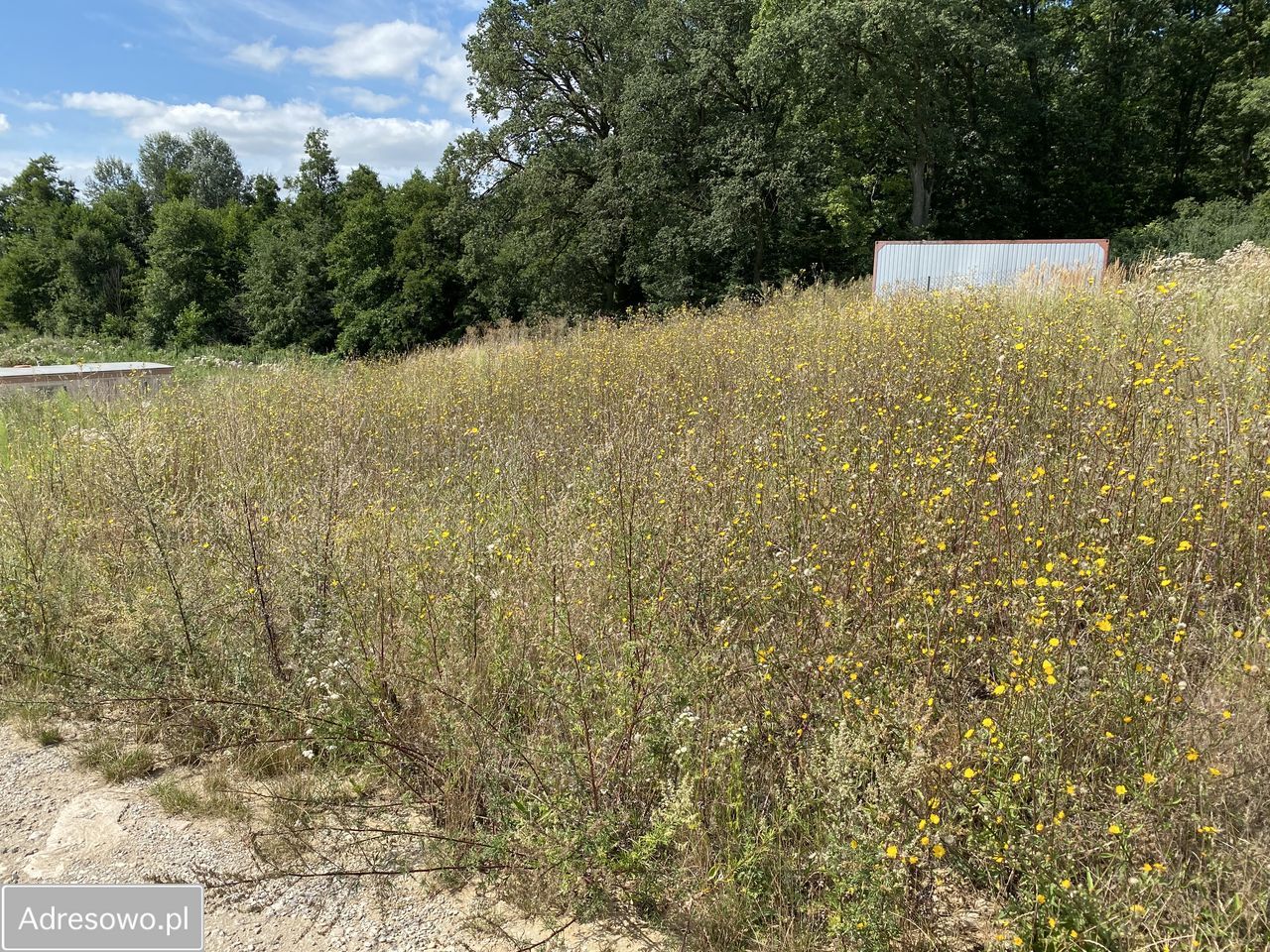 Działka rekreacyjna Izbica Kujawska. Zdjęcie 4