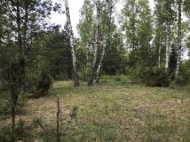 Działka inwestycyjna Stare Załubice. Zdjęcie 2