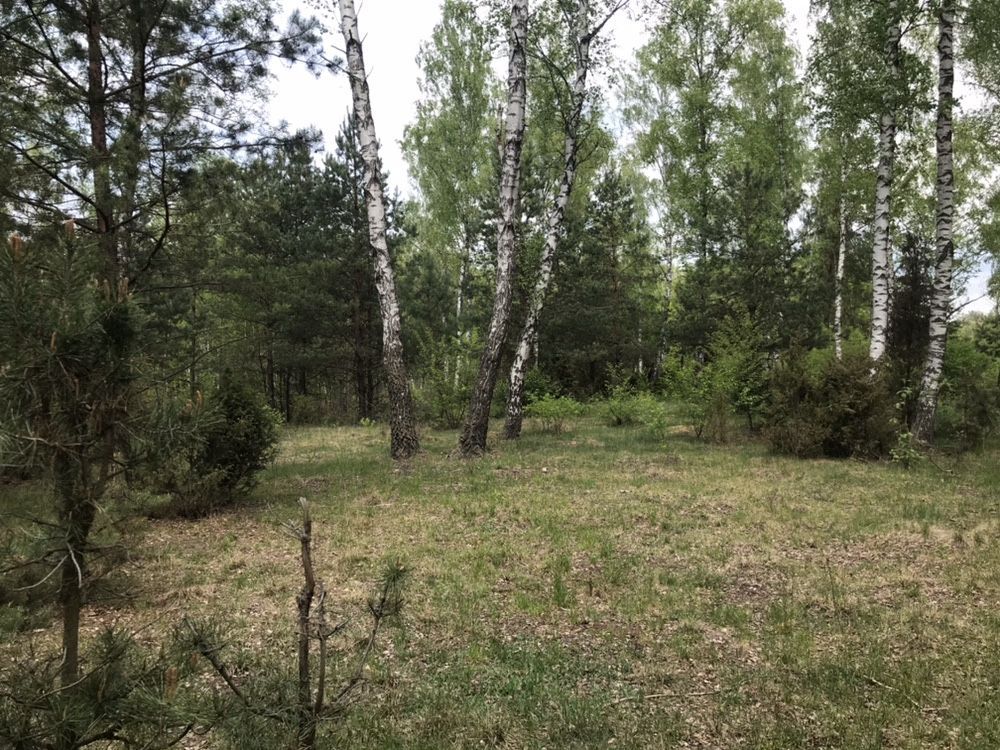 Działka inwestycyjna Stare Załubice. Zdjęcie 3