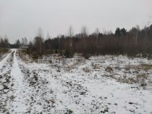 Działka rolna Nowa Wieś. Zdjęcie 3