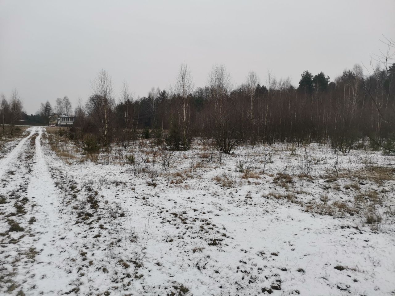 Działka rolna Nowa Wieś. Zdjęcie 4