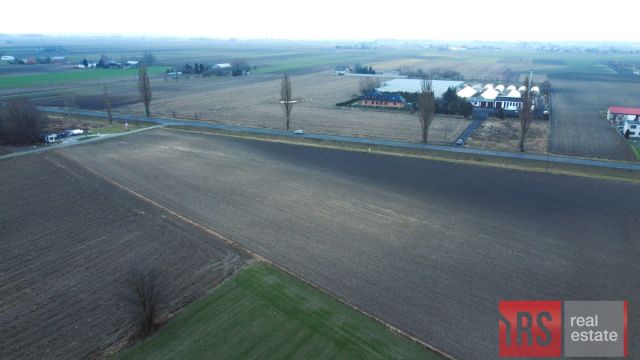 Działka rolna Błaszki Lubanów. Zdjęcie 5