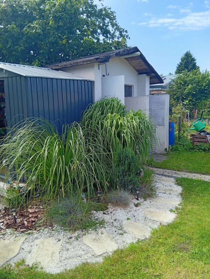 Działka rod Gdynia Babie Doły, ul. Zielona. Zdjęcie 15