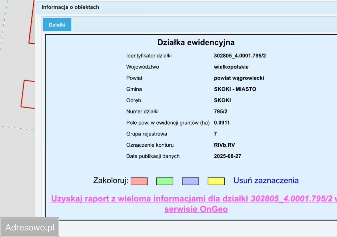 Działka budowlana Skoki. Zdjęcie 2