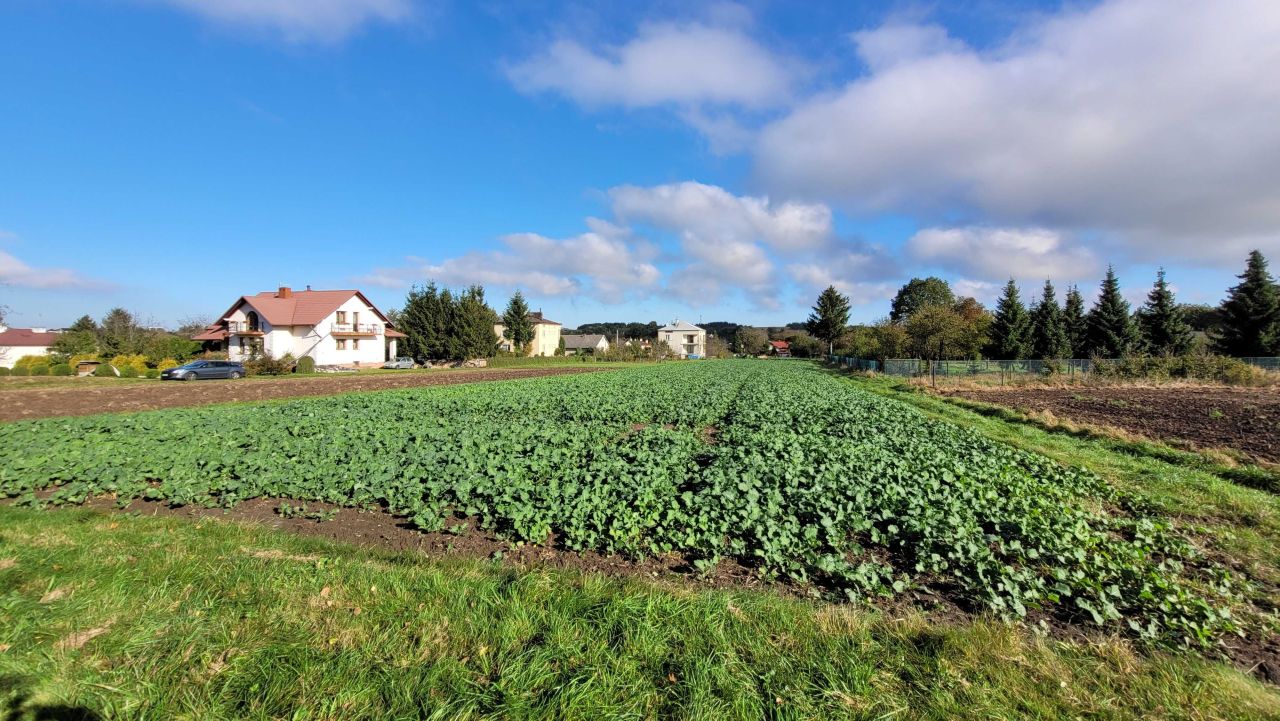 Działka rolna Kraczkowa. Zdjęcie 6