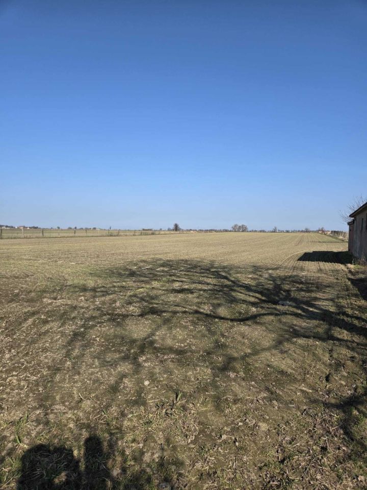 Działka rolna Śmiłowo, ul. Działkowa. Zdjęcie 4