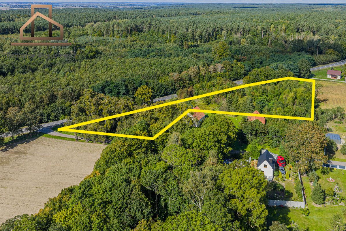 Działka rolna Ryjewo. Zdjęcie 10