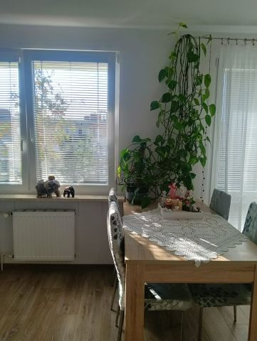 Mieszkanie 1-pokojowe Jelenia Góra Zabobrze. Zdjęcie 2