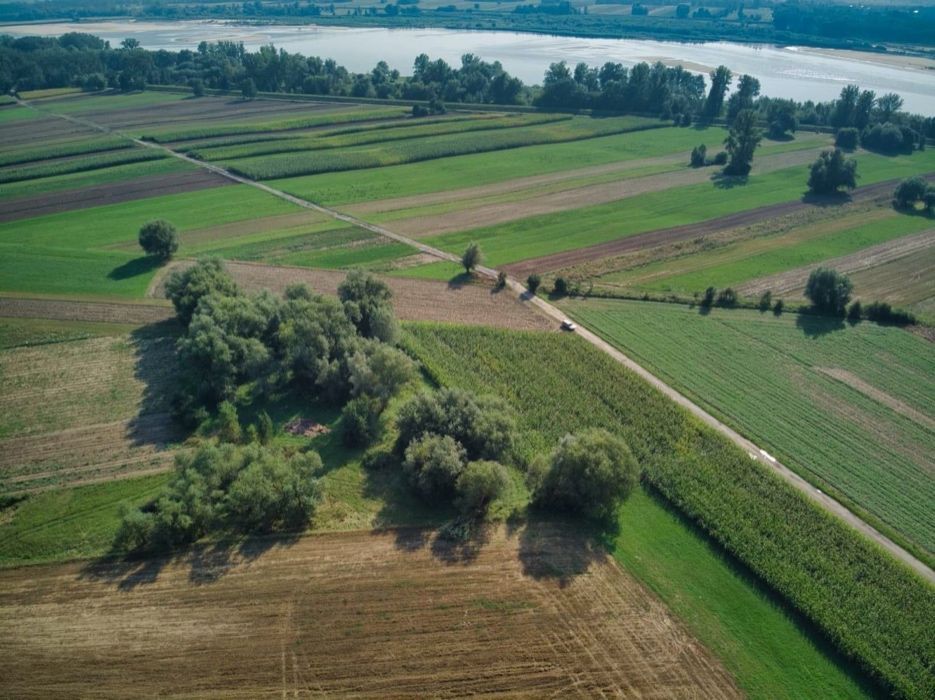 Działka rolna Kobylnica. Zdjęcie 3
