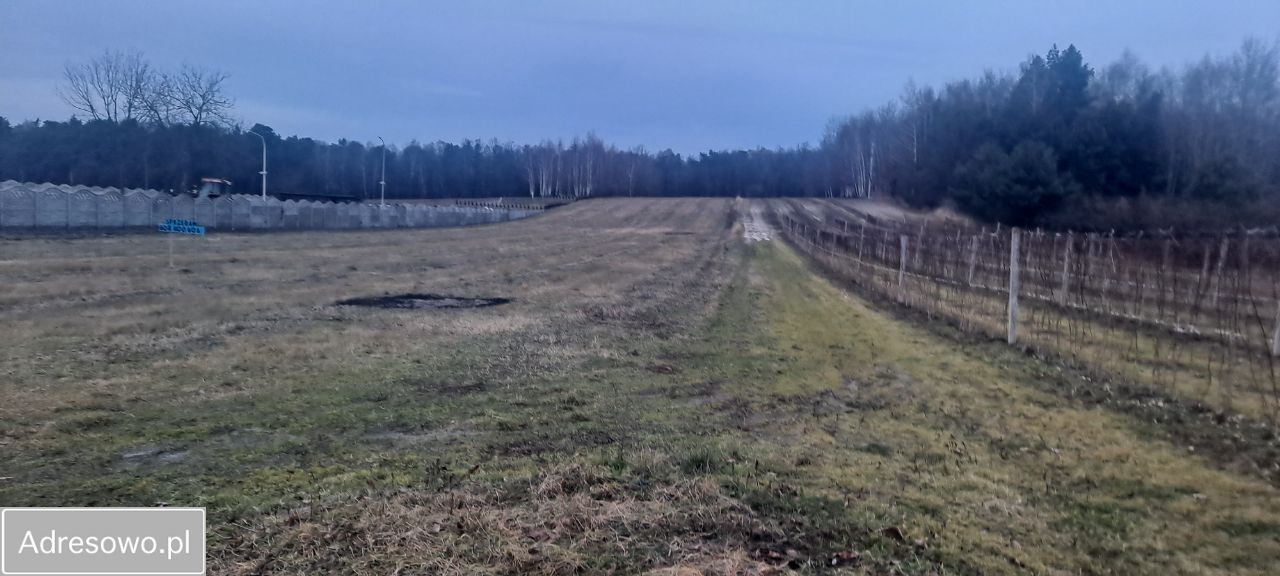 Działka budowlana Urzędów, ul. Malinowa