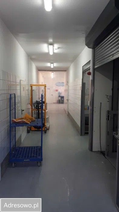 Hala/magazyn Szczecin Pogodno, ul. Modra. Zdjęcie 6