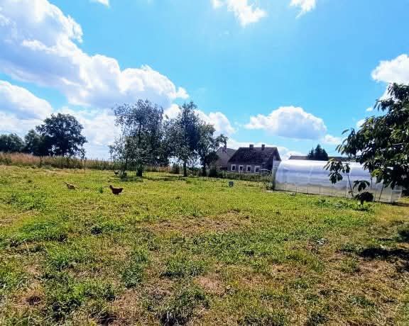 dom wolnostojący, 3 pokoje Radzanek. Zdjęcie 11