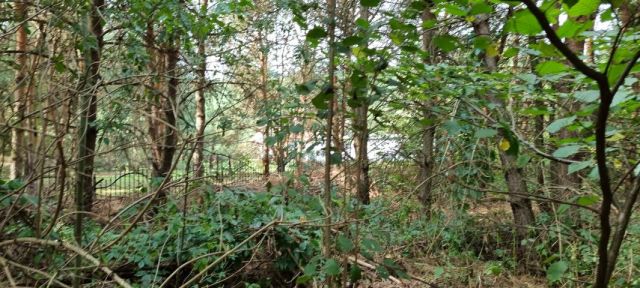 Działka budowlana Strzeniówka. Zdjęcie 4