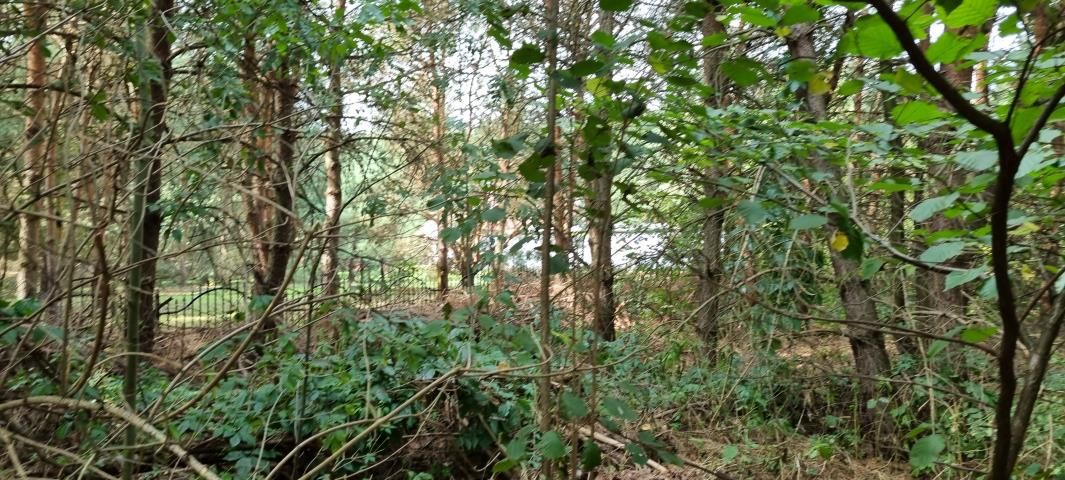 Działka budowlana Strzeniówka. Zdjęcie 4