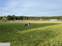 Działka siedliskowa Krzeptów, ul. Gajowa. Zdjęcie 1