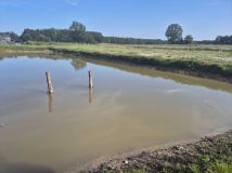 Działka rolno-budowlana Ogrodzisko. Zdjęcie 4