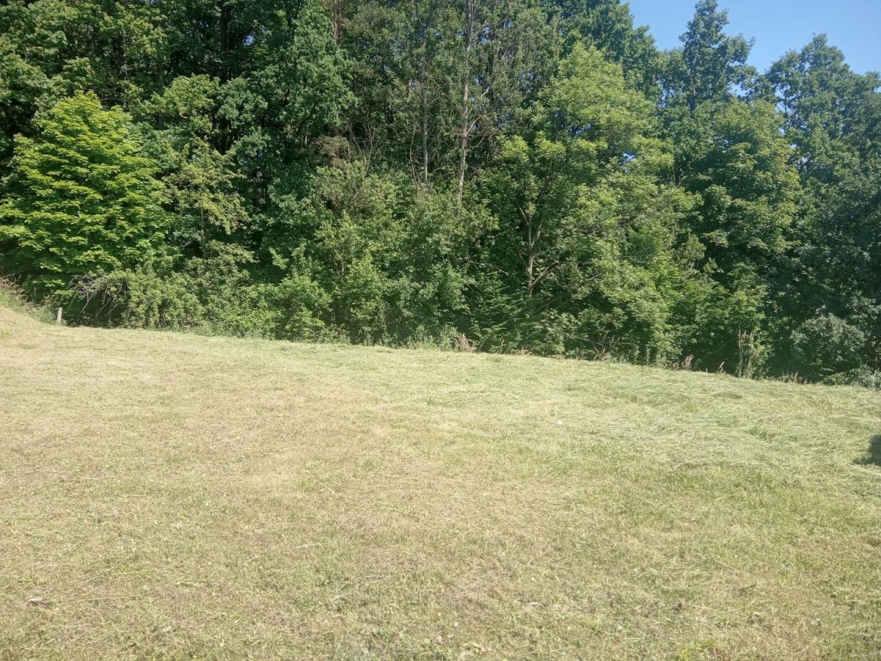 Działka rekreacyjna Ustrzyki Dolne